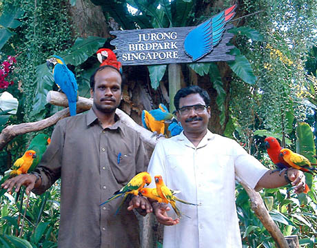 Singapore site seeing